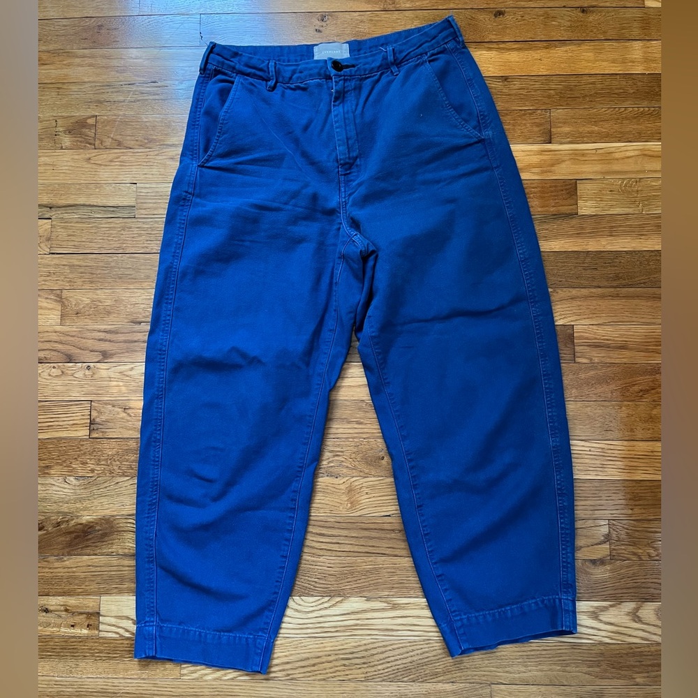 everlane the arc canvas pants blue size 12